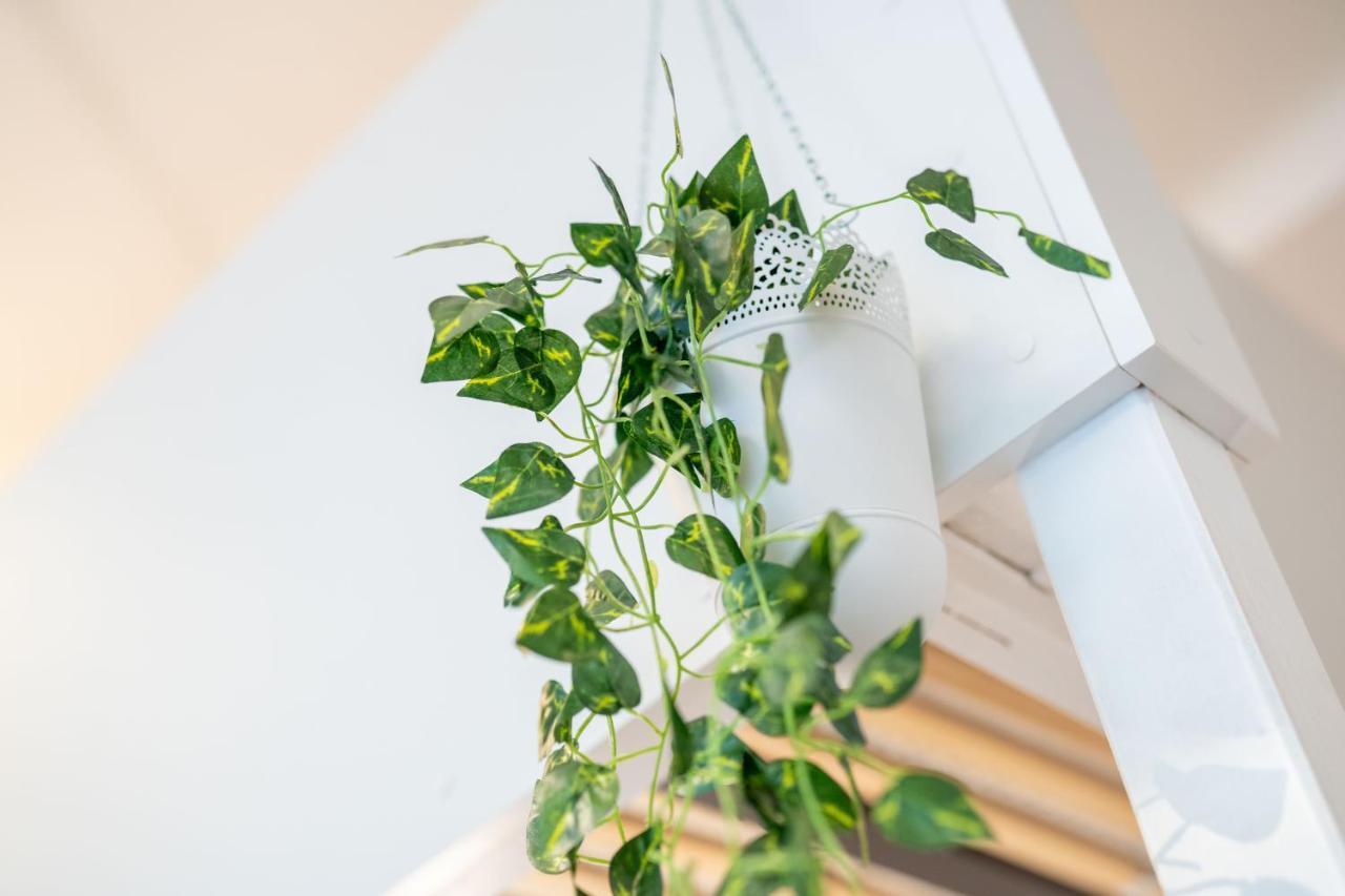 Apartamento Cozy Modern Nest In The Heart Of Vienna With Netflix Exterior foto